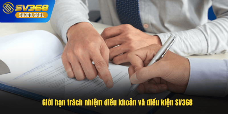 Điều khoản khác