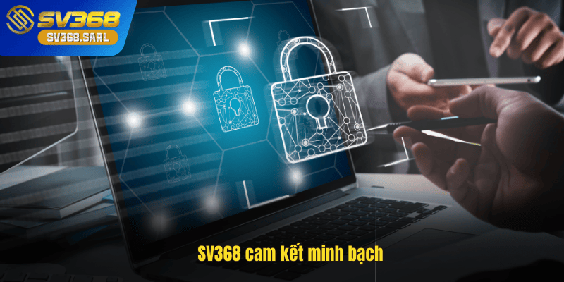 SV368 cam kết minh bạch